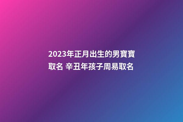 2023年正月出生的男寶寶取名 辛丑年孩子周易取名
